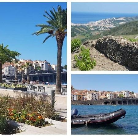 Appartement 300 M Plage Et Port Banyuls-sur-Mer Exterior foto