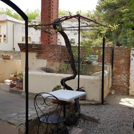 Appartement 300 M Plage Et Port Banyuls-sur-Mer Exterior foto